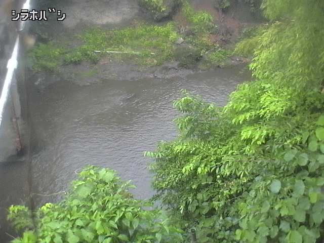 2026年06月21日05時00分の映像
