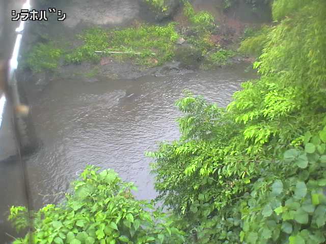 2026年06月21日06時00分の映像