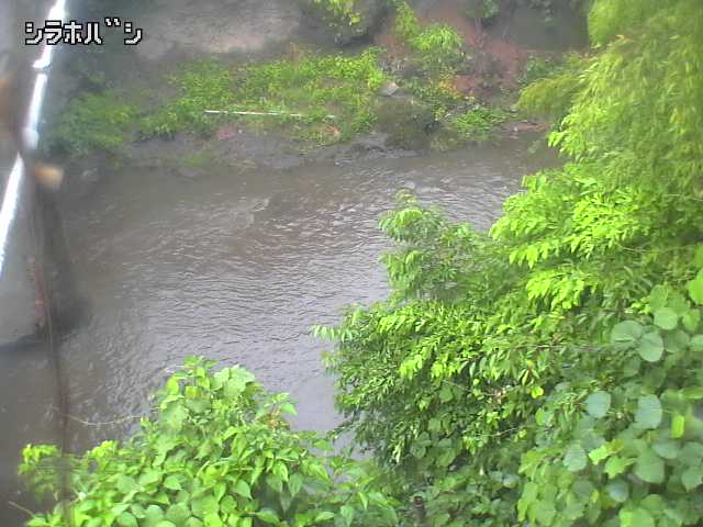 2026年06月21日07時00分の映像