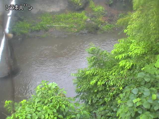 2026年06月21日08時00分の映像