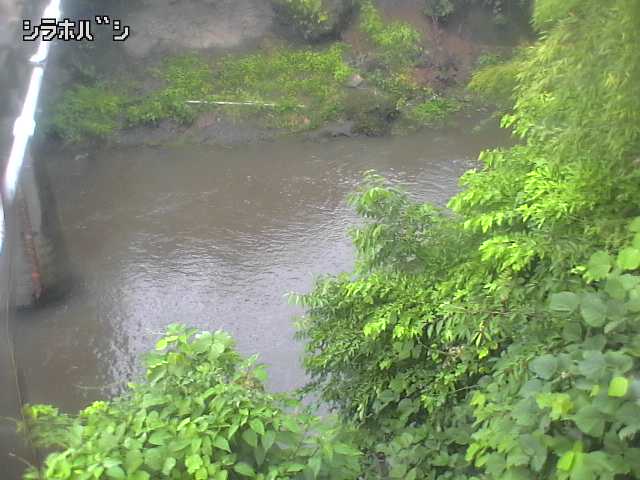2026年06月21日09時00分の映像