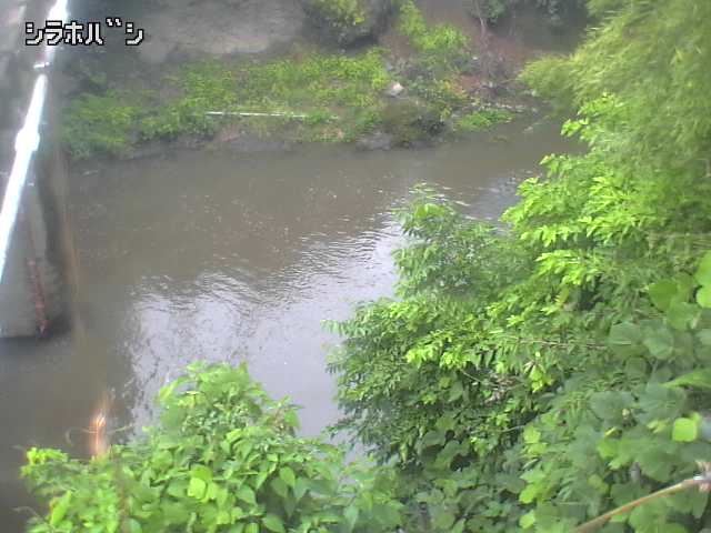 2026年06月21日11時00分の映像
