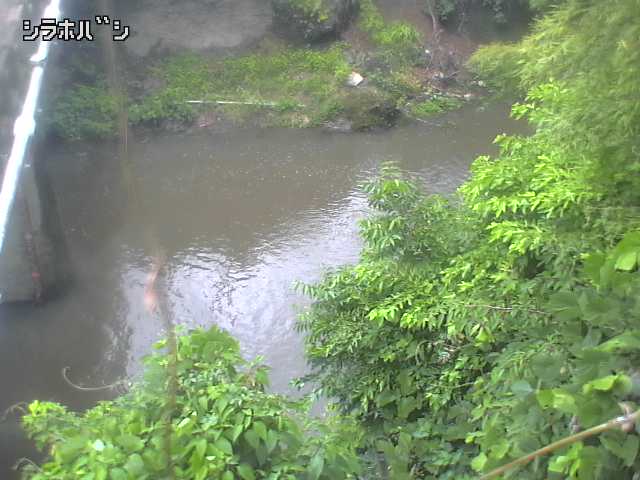 2026年06月21日12時00分の映像