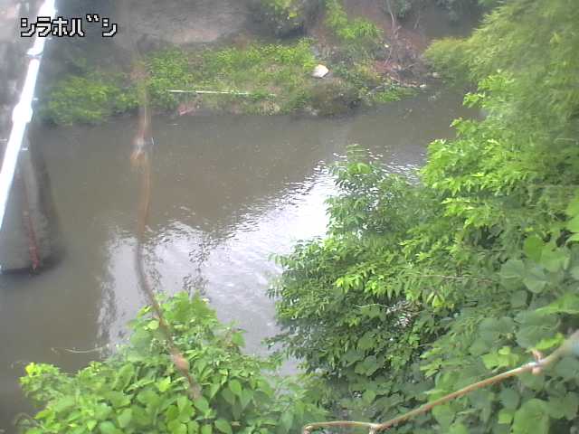 2026年06月21日14時00分の映像