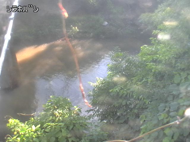 2026年06月21日16時00分の映像