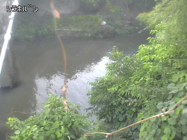 2026年06月21日17時00分の映像