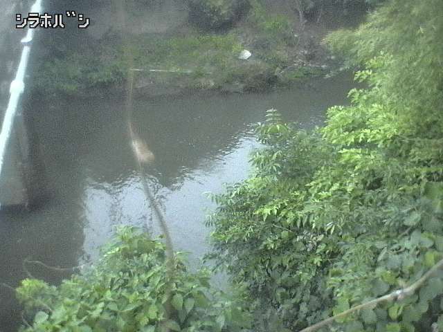 2026年06月21日19時00分の映像