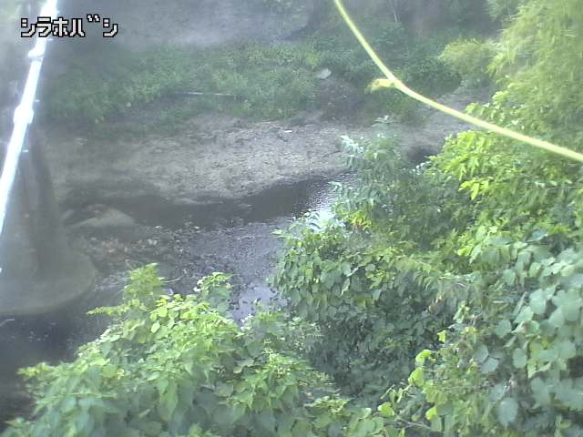 2026年08月05日17時00分の映像