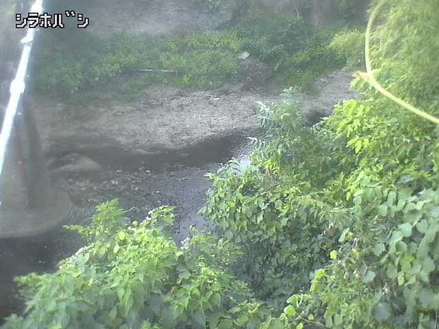 2026年08月05日18時00分の映像