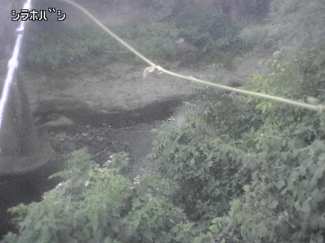 2026年08月05日19時00分の映像