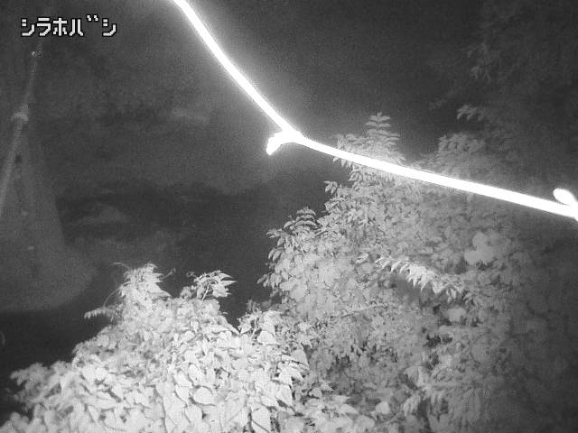 2026年08月05日21時00分の映像