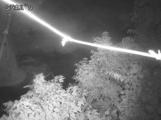 2026年08月05日22時00分の映像