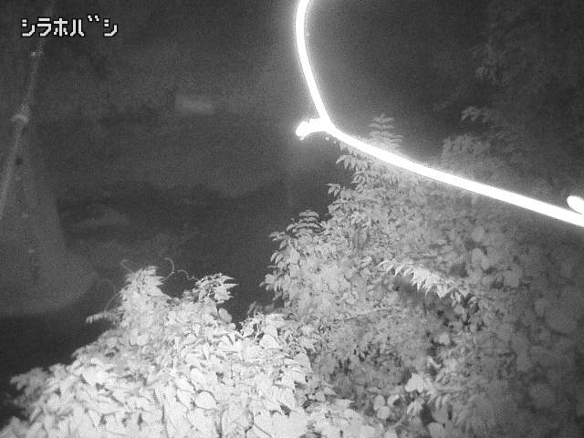 2026年08月05日23時00分の映像
