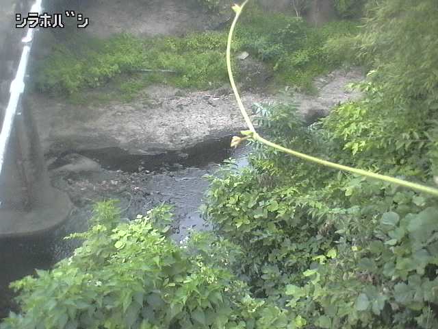 2026年08月06日05時00分の映像