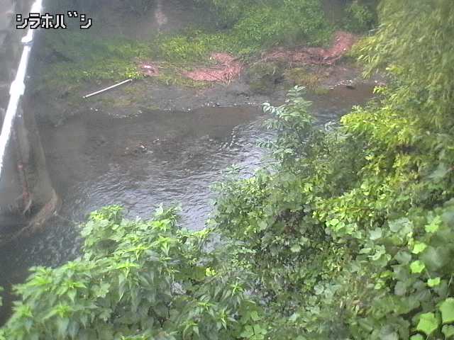 2026年09月20日06時00分の映像