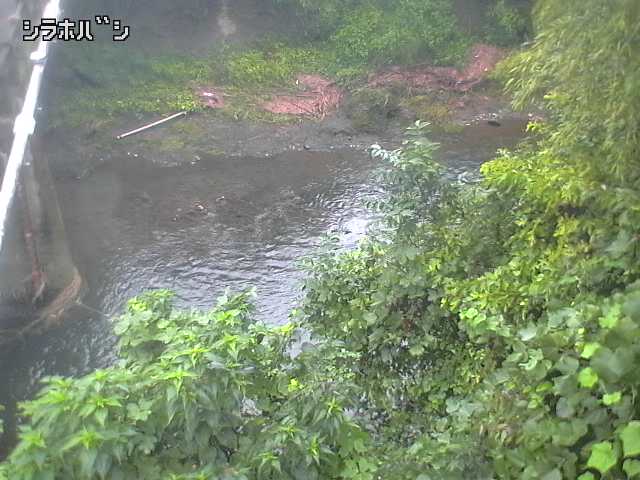 2026年09月20日07時00分の映像